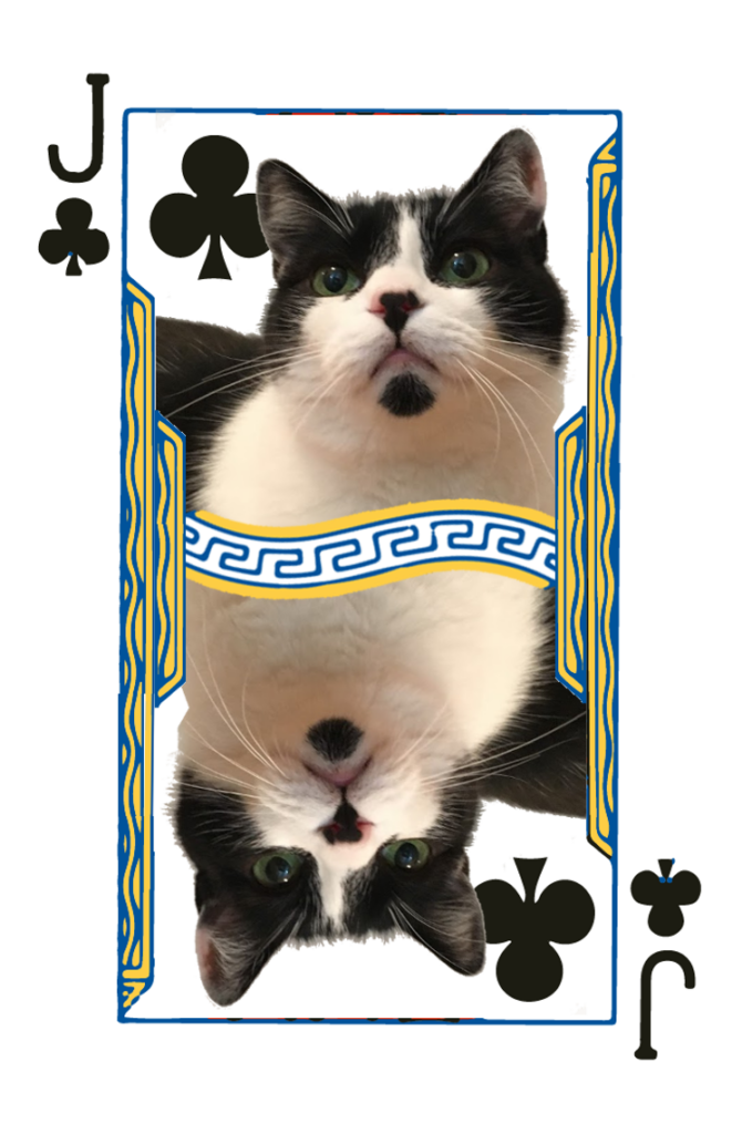 Jack of Clubs