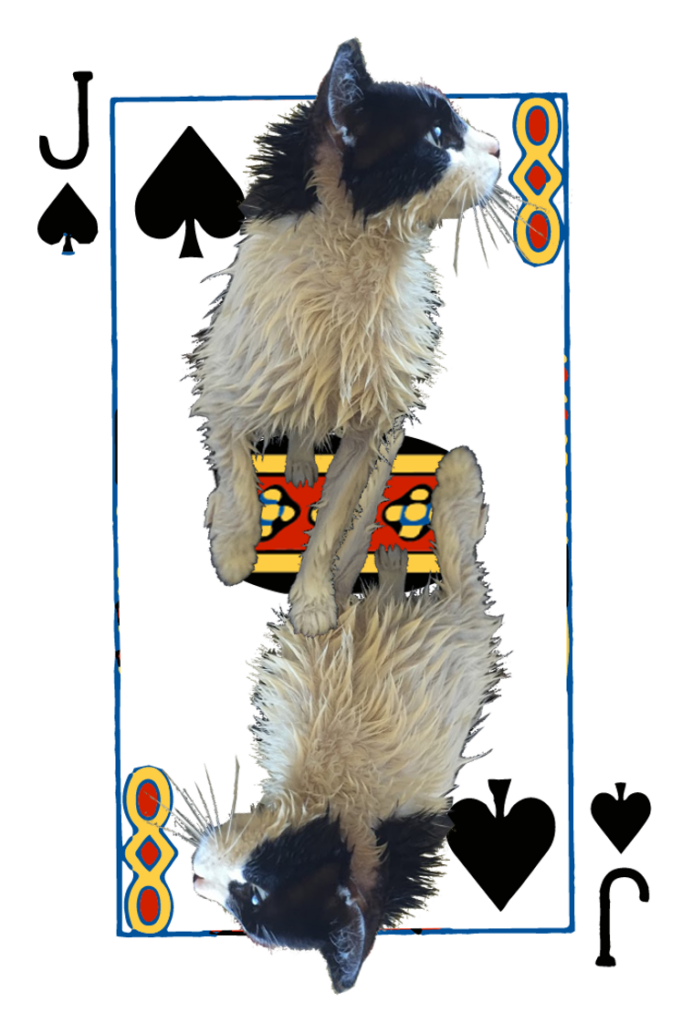 Jack of Spades