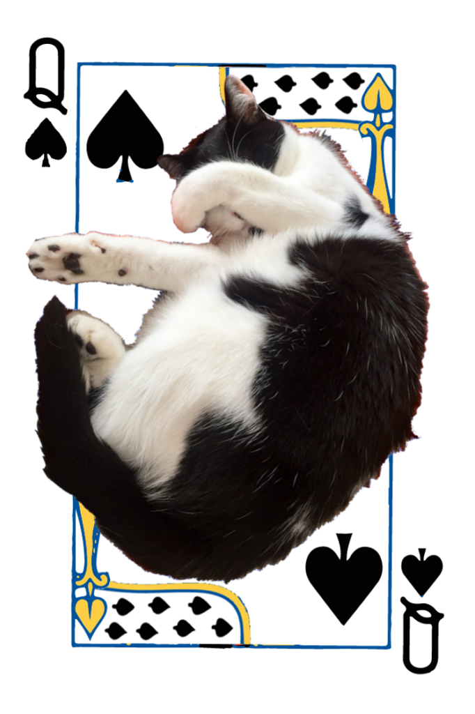 Queen of Spades